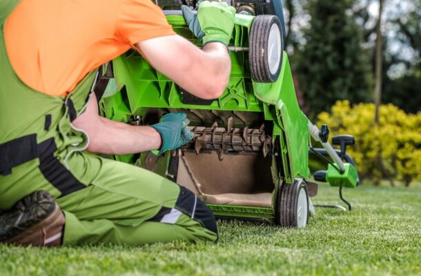 Wertykulator do trawy – jaki kupić?