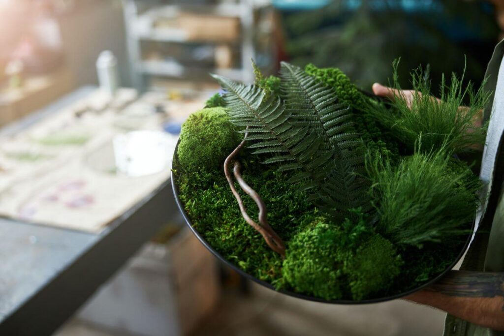 Obraz z mchu i zielonych roślin Mech chrobotek - cena za obraz z mchu i naturalnych elementów