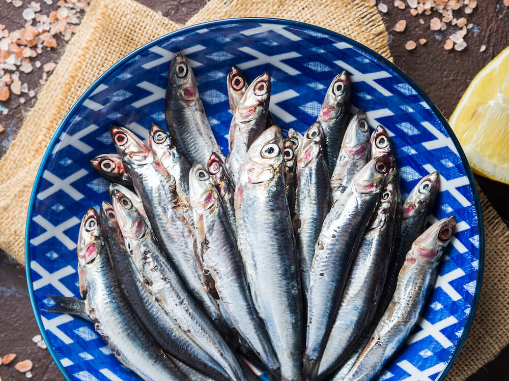 anchois w niebieskim półmisku anchois na niebieskim talerzu