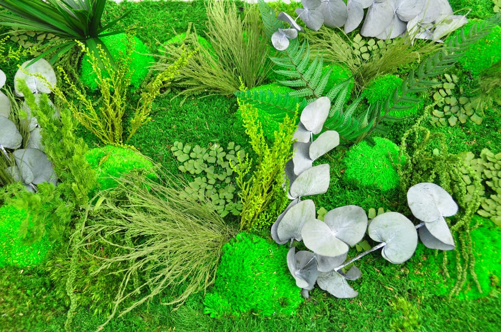 zielone rośliny w skalniaku doniczkowym 