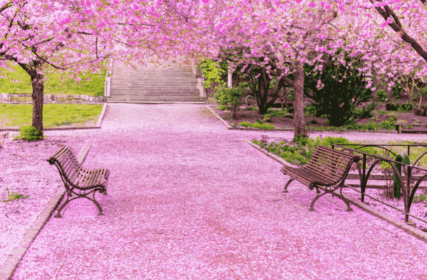 Od odpoczynku po relaks w cieniu – jak ławki wpływają na jakość życia w mieście?