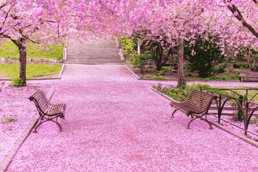 Od odpoczynku po relaks w cieniu – jak ławki wpływają na jakość życia w mieście?