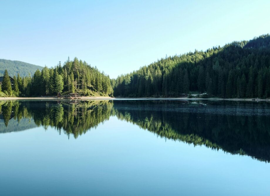 Dlaczego warto wybrać się nad Jezioro Rożnowskie? X powodów