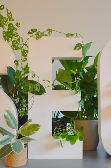 Sprawdź agencję przed umową. Co dane Ahrefs mówią o Twoim przyszłym partnerze SEO?