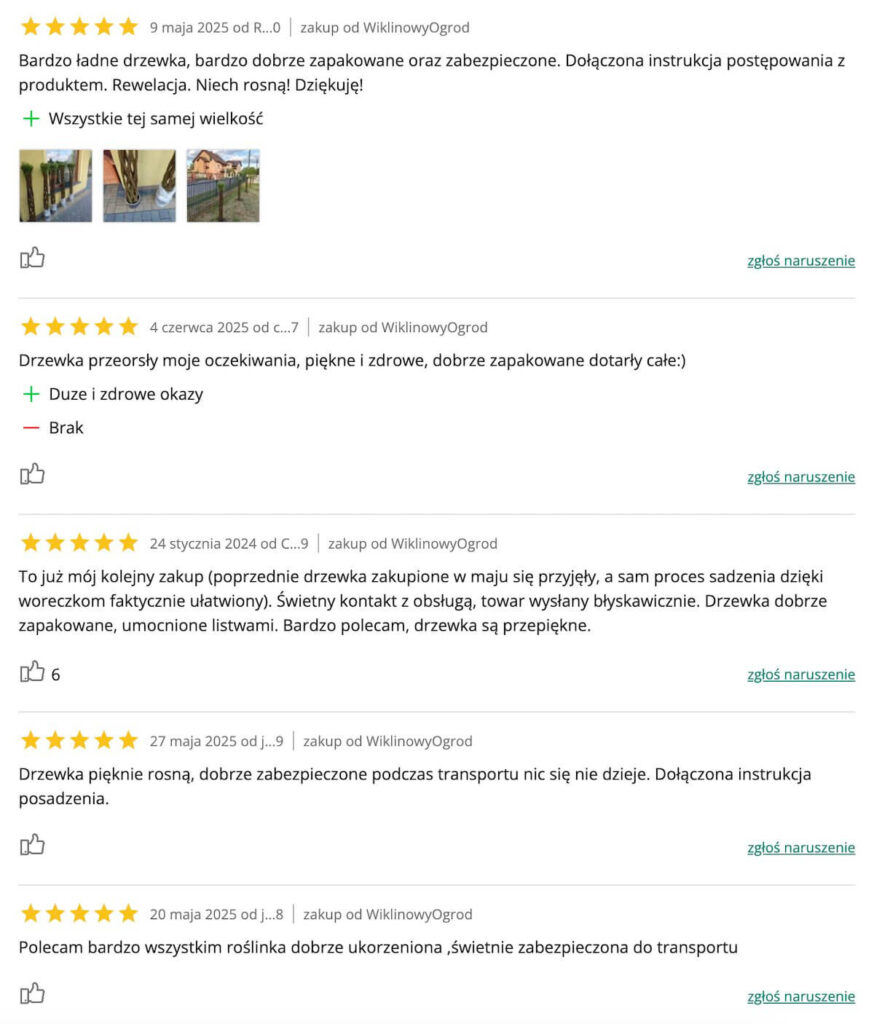 Wierzba pleciona - opinie o drzewku