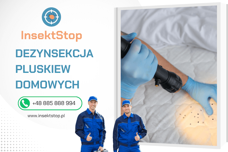 profesjonalne zwalczanie pluskiew w mieszkaniu insektstop.pl dezynsekcja