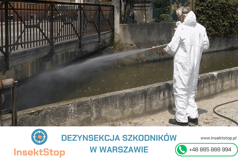 specjalistyczna dezynsekcja wykonywana przez technika zwalczanie pluskiew insektstop.pl